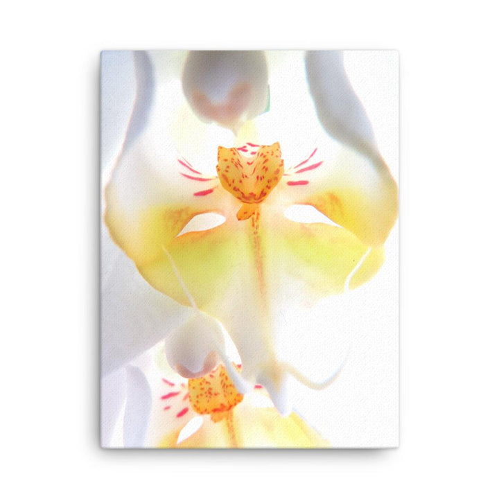 Yellow Orchid - Leinwand 30x41 cm artlia