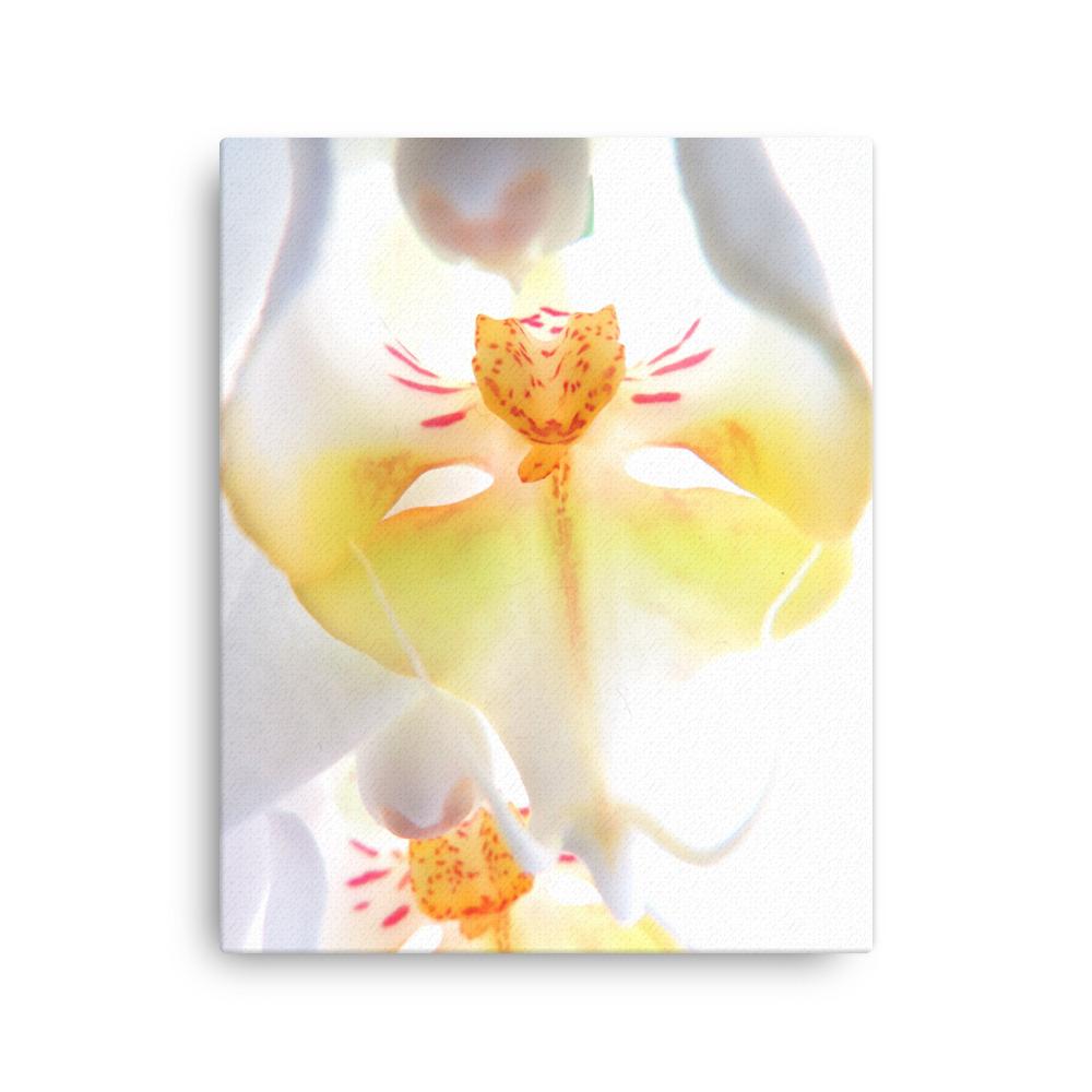 Yellow Orchid - Leinwand 41x51 cm artlia