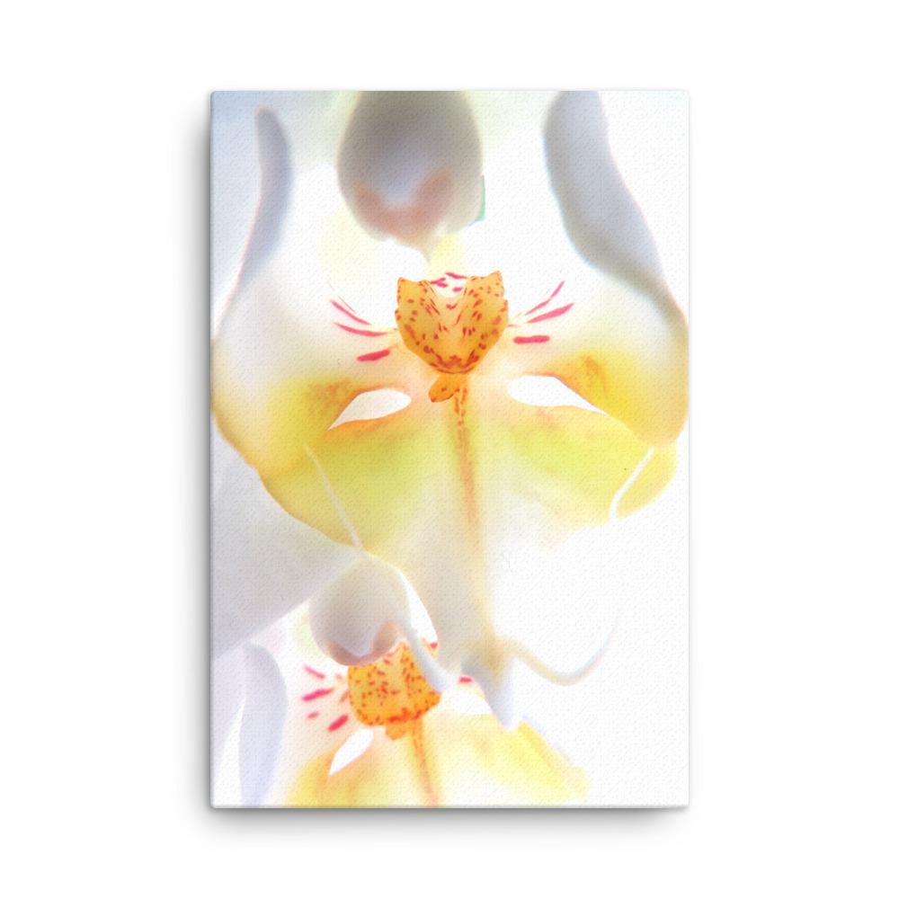 Yellow Orchid - Leinwand 61x91 cm artlia