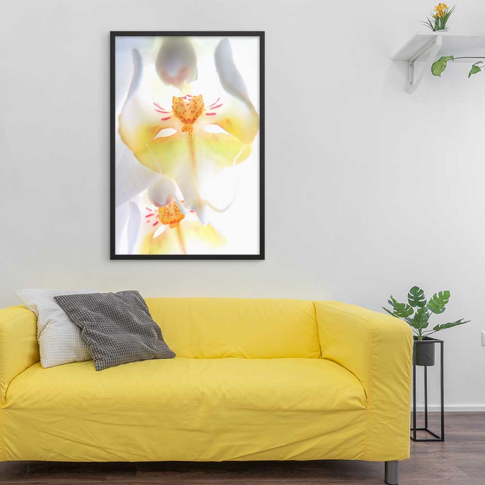 Yellow Orchid - Poster im Rahmen artlia