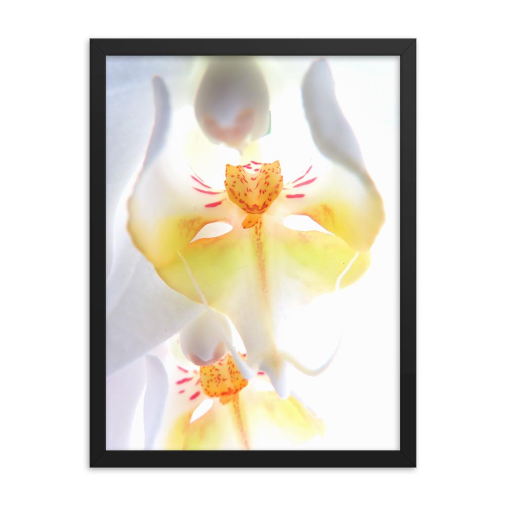 Yellow Orchid - Poster im Rahmen schwarz / 30x41 cm artlia