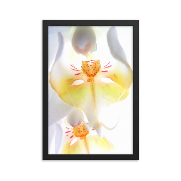 Yellow Orchid - Poster im Rahmen schwarz / 30x45 cm artlia