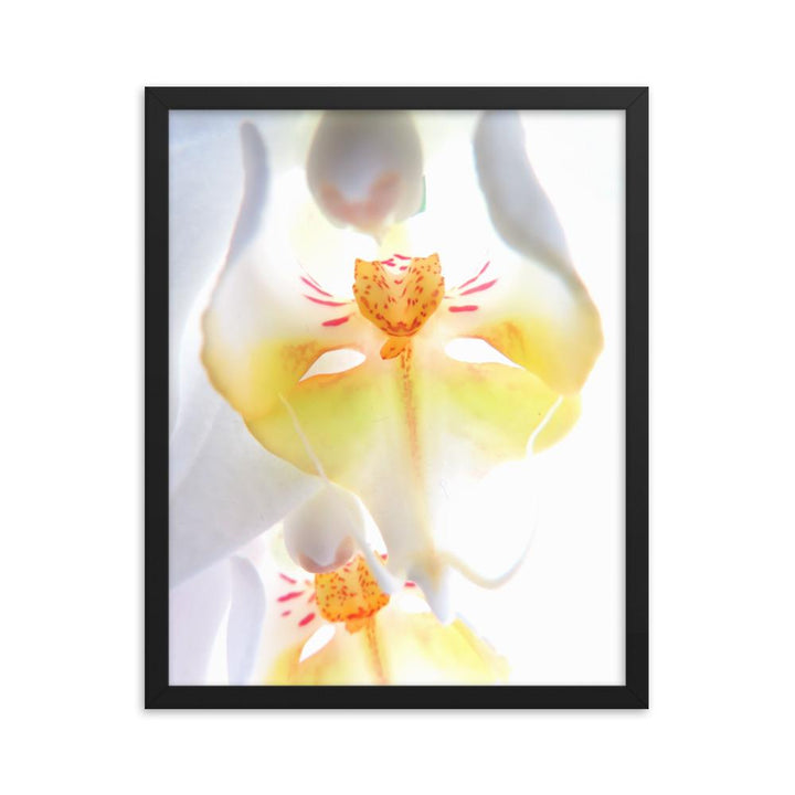 Yellow Orchid - Poster im Rahmen schwarz / 41x51 cm artlia