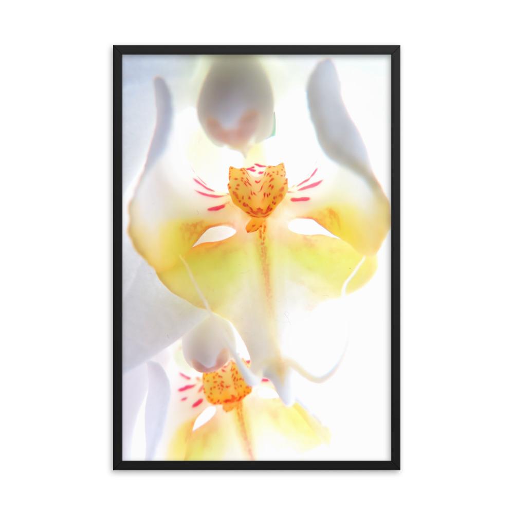 Yellow Orchid - Poster im Rahmen schwarz / 61x91 cm artlia