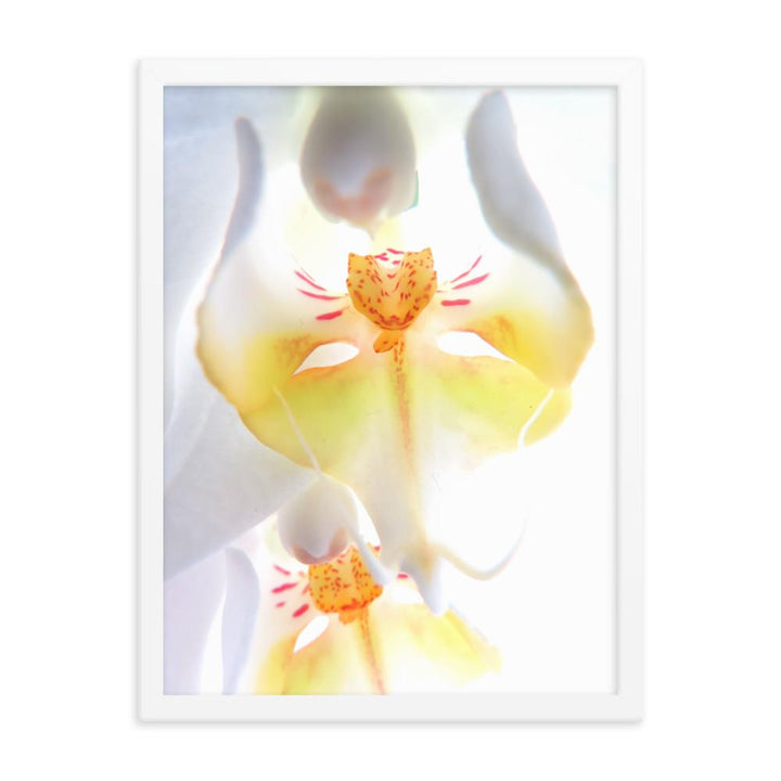 Yellow Orchid - Poster im Rahmen weiß / 30x41 cm artlia