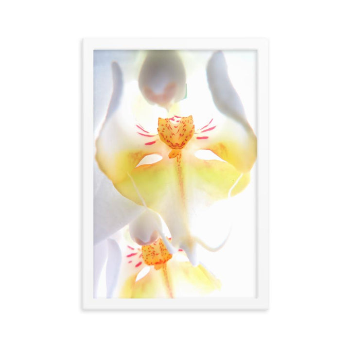 Yellow Orchid - Poster im Rahmen weiß / 30x45 cm artlia