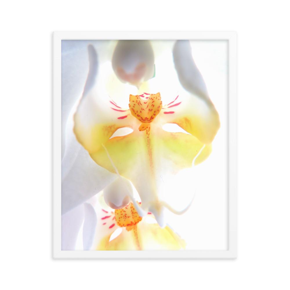 Yellow Orchid - Poster im Rahmen weiß / 41x51 cm artlia