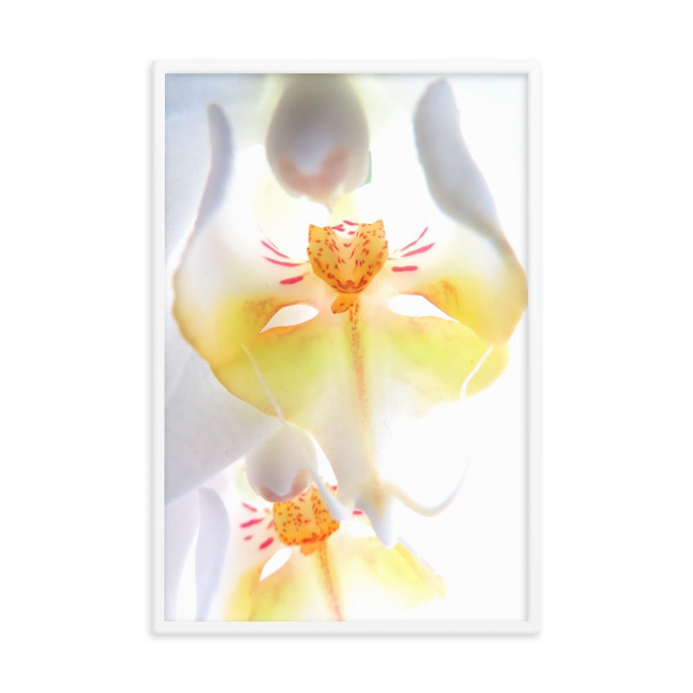Yellow Orchid - Poster im Rahmen weiß / 61x91 cm artlia