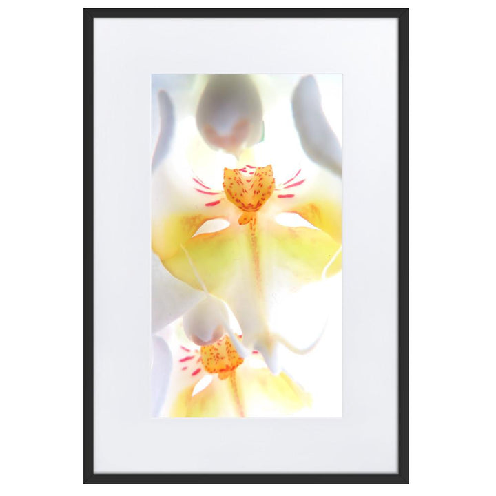 Yellow Orchid - Poster im Rahmen mit Passepartout artlia