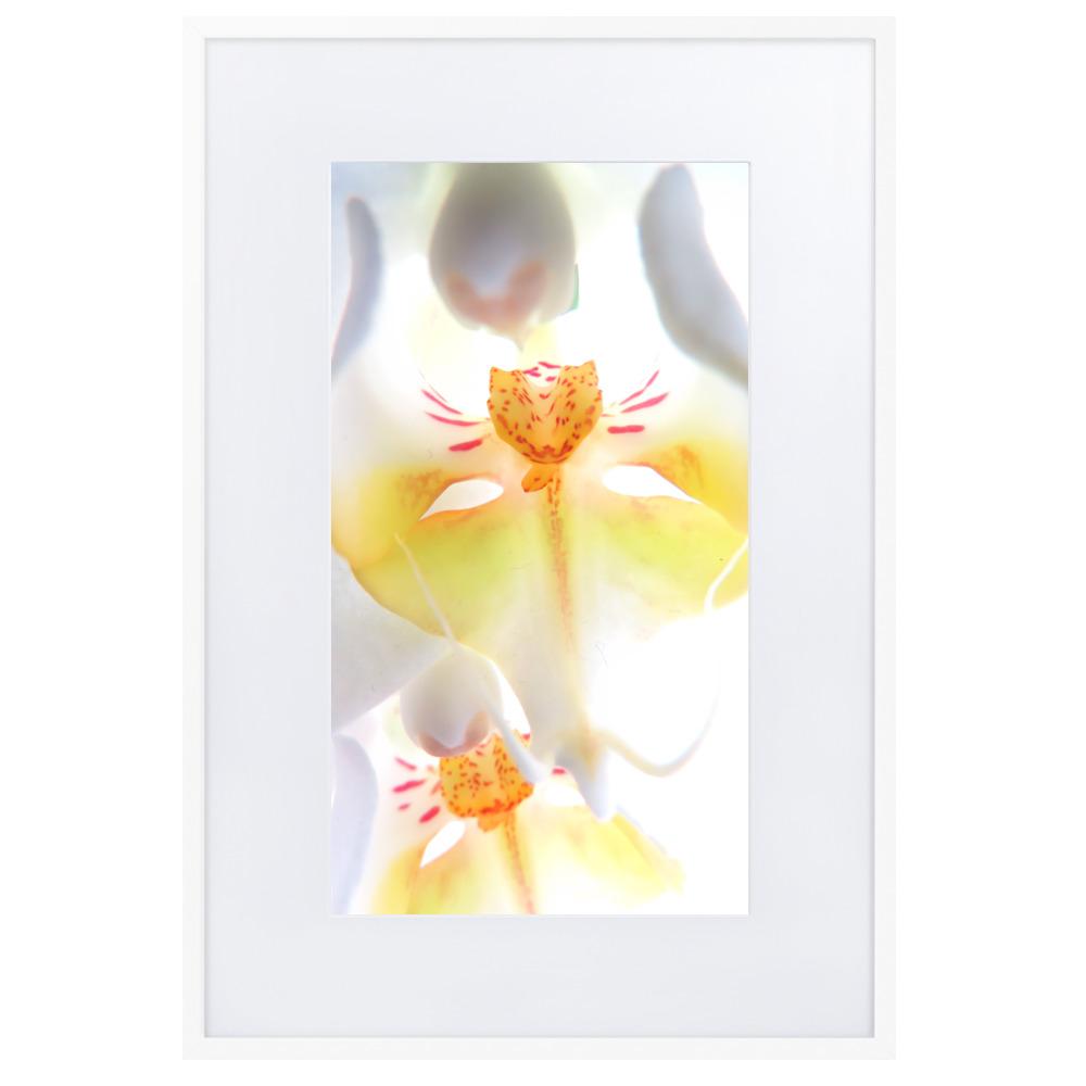 Yellow Orchid - Poster im Rahmen mit Passepartout artlia