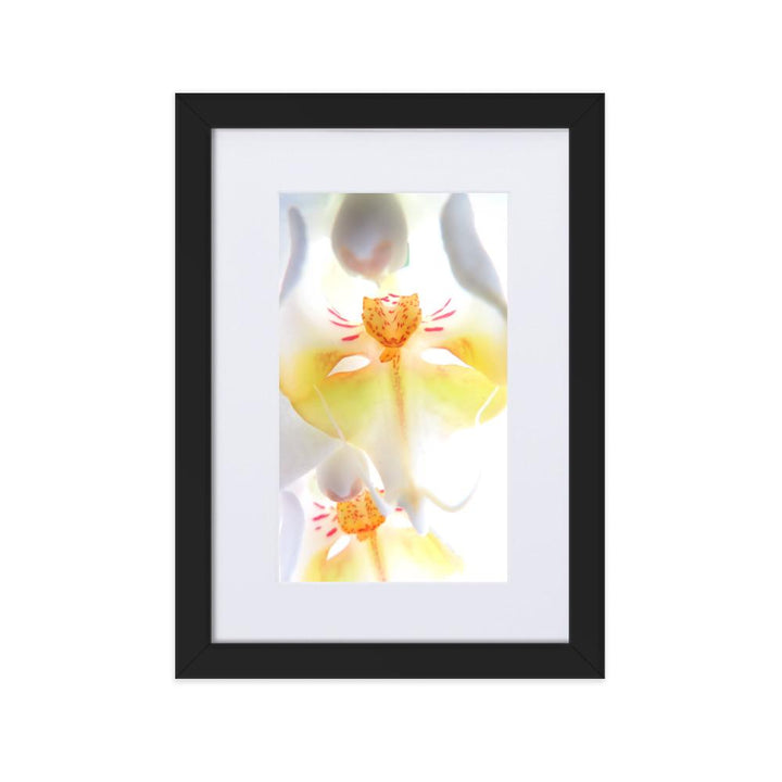 Yellow Orchid - Poster im Rahmen mit Passepartout schwarz / 21×30 cm artlia