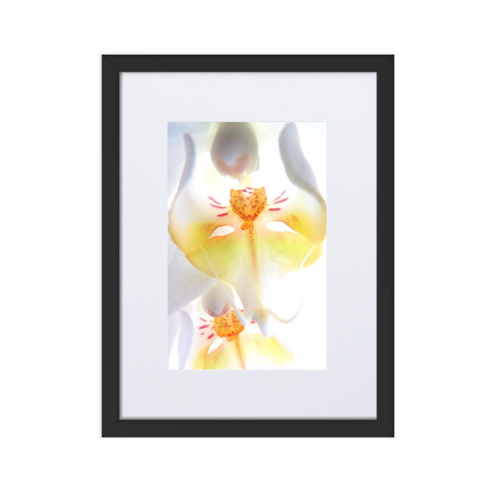 Yellow Orchid - Poster im Rahmen mit Passepartout schwarz / 30×40 cm artlia
