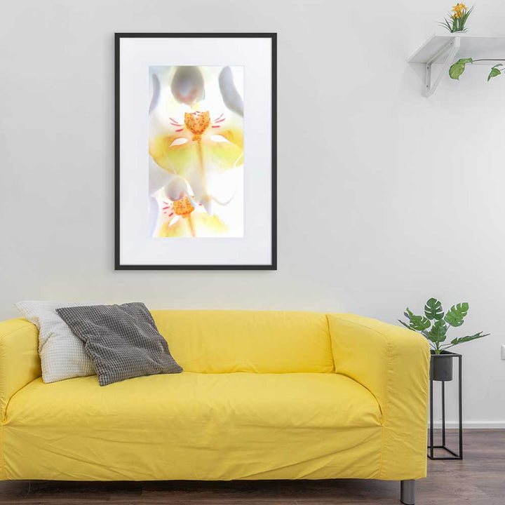 Yellow Orchid - Poster im Rahmen mit Passepartout schwarz / 61×91 cm artlia