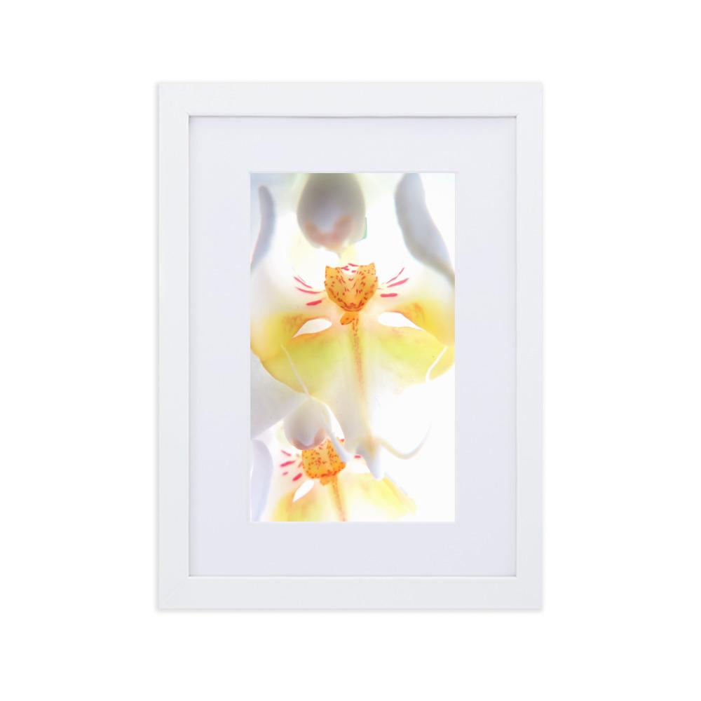 Yellow Orchid - Poster im Rahmen mit Passepartout weiß / 21×30 cm artlia