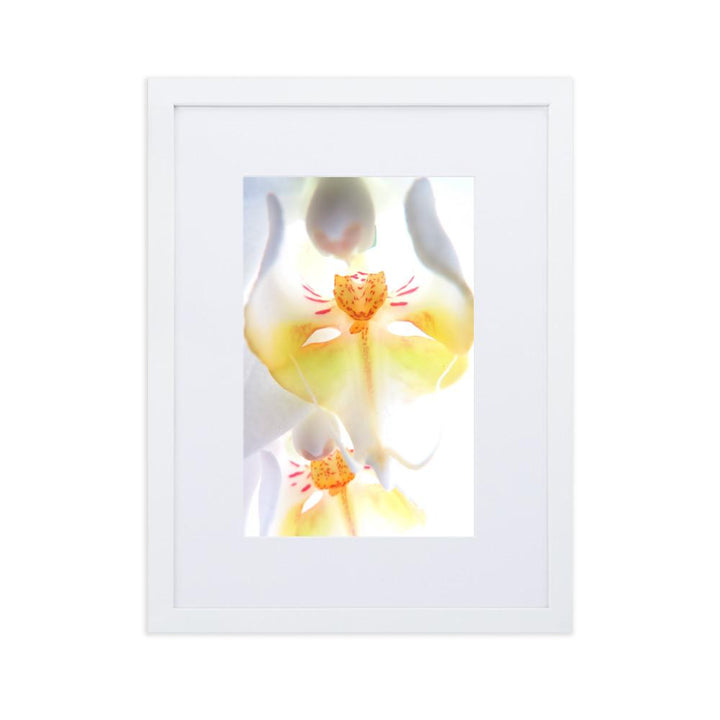 Yellow Orchid - Poster im Rahmen mit Passepartout weiß / 30×40 cm artlia