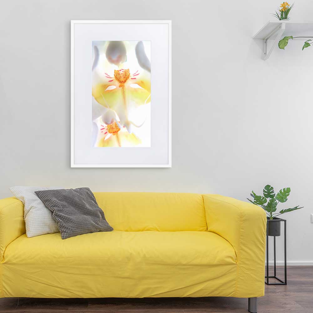Yellow Orchid - Poster im Rahmen mit Passepartout weiß / 61×91 cm artlia