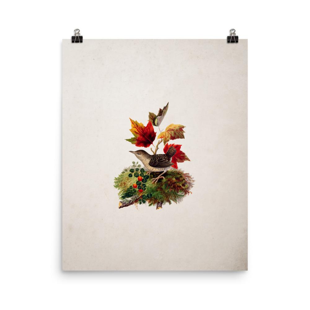 Poster - Zaunkönig 20x25 cm artlia