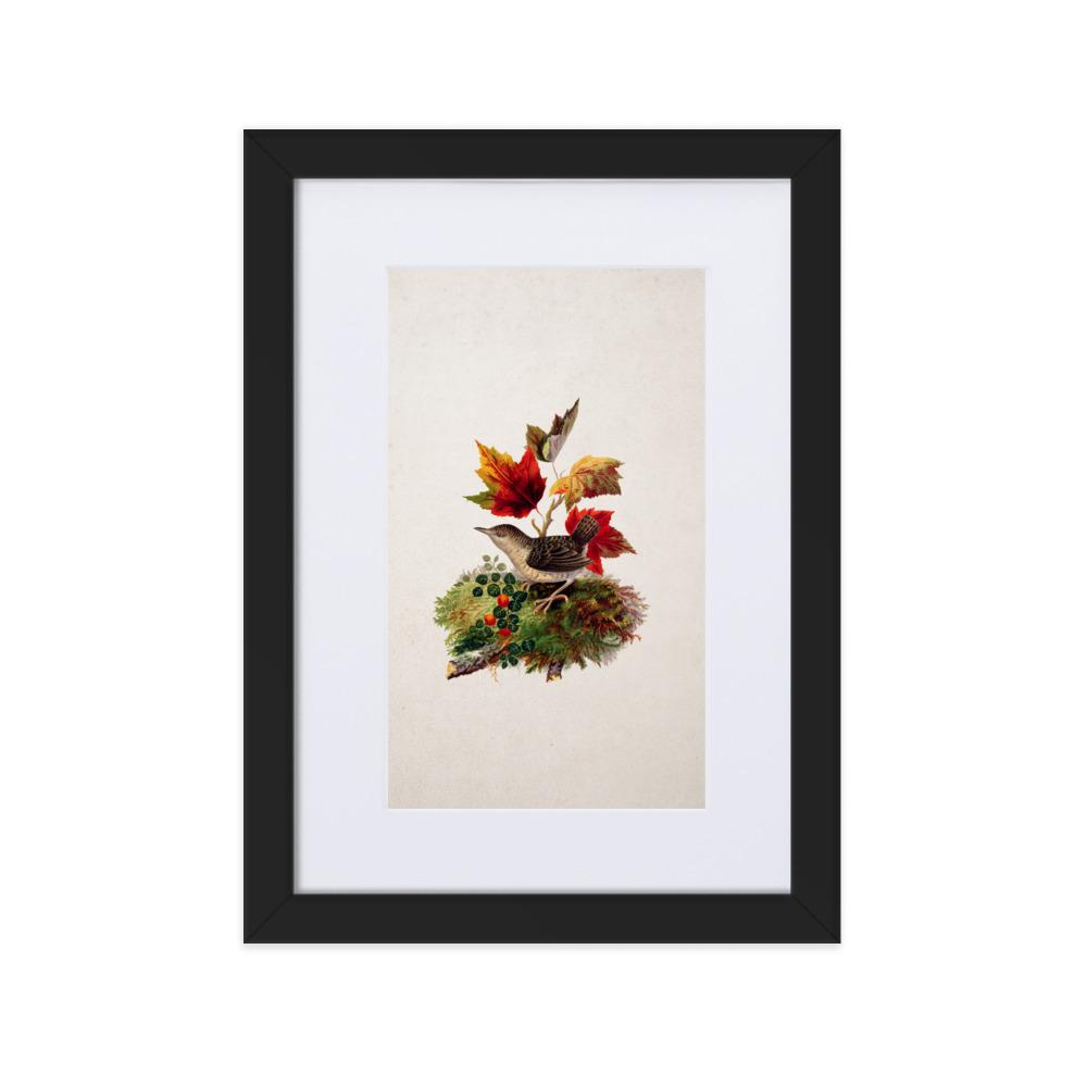 Zaunkönig - Poster im Rahmen mit Passepartout schwarz / 21×30 cm artlia