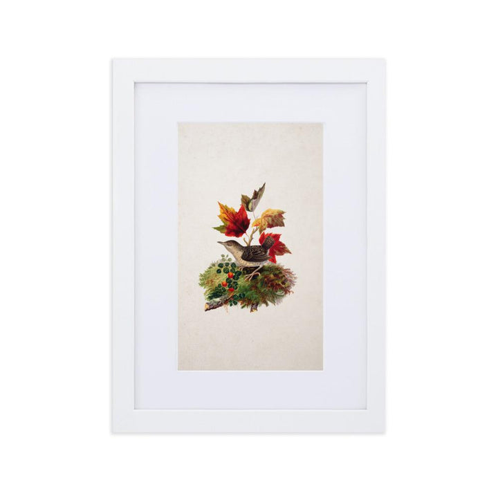 Zaunkönig - Poster im Rahmen mit Passepartout weiß / 21×30 cm artlia