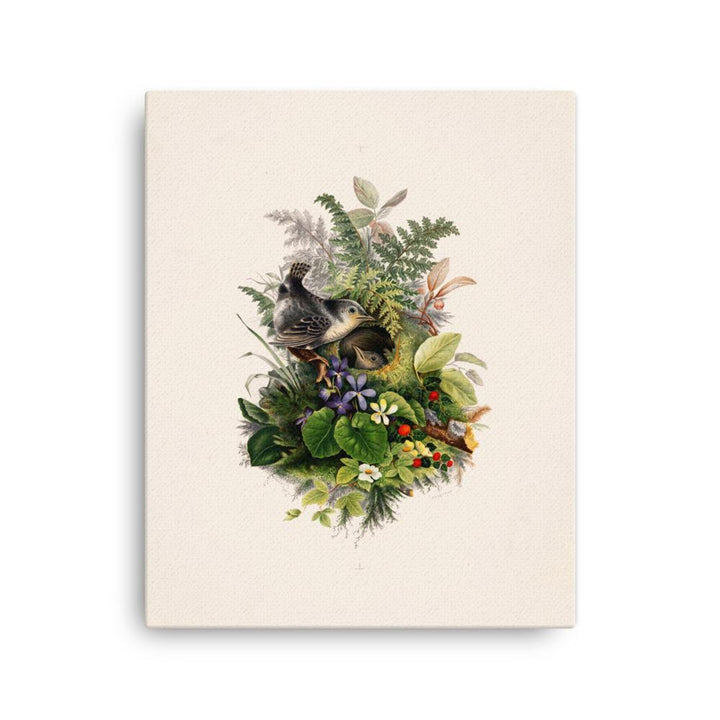 Zaunkönig und das Nest - Leinwand 41x51 cm artlia