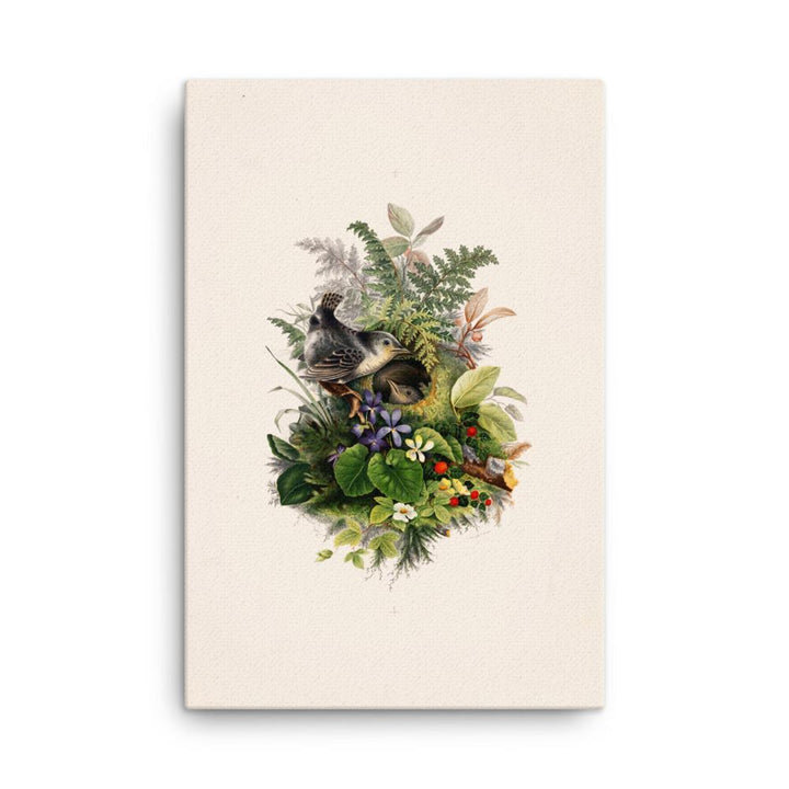 Zaunkönig und das Nest - Leinwand 61x91 cm artlia