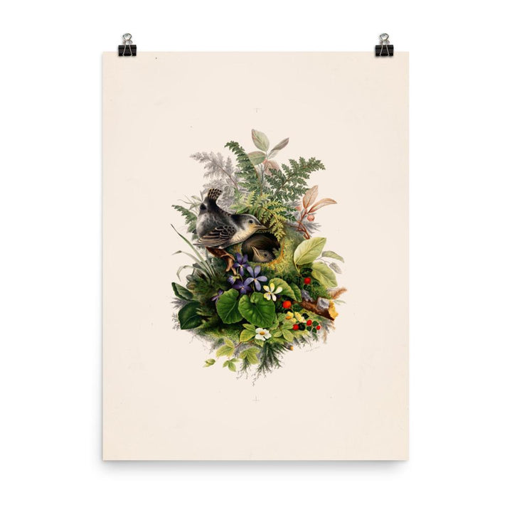 Poster - Zaunkönig und das Nest 46x61 cm artlia