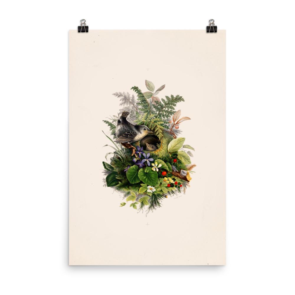 Poster - Zaunkönig und das Nest 30x45 cm artlia