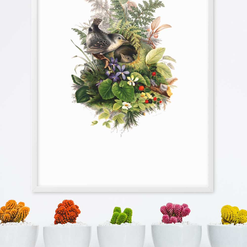 Poster - Zaunkönig und das Nest artlia