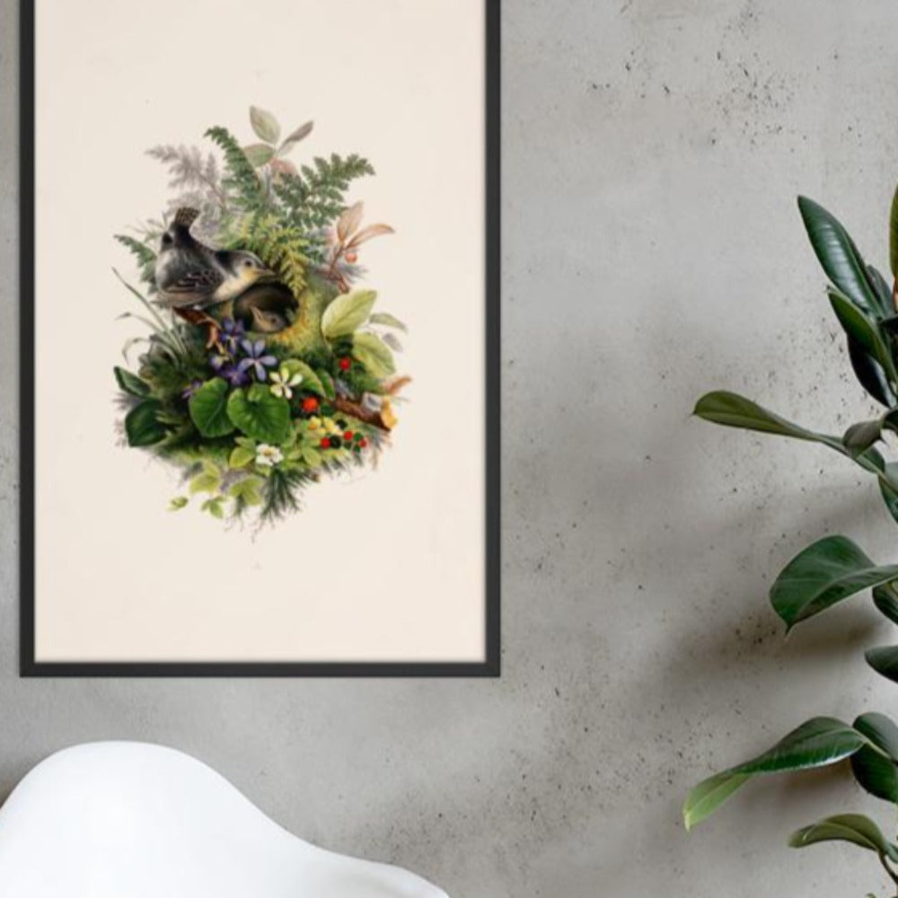 Zaunkönig und das Nest - Poster im Rahmen artlia
