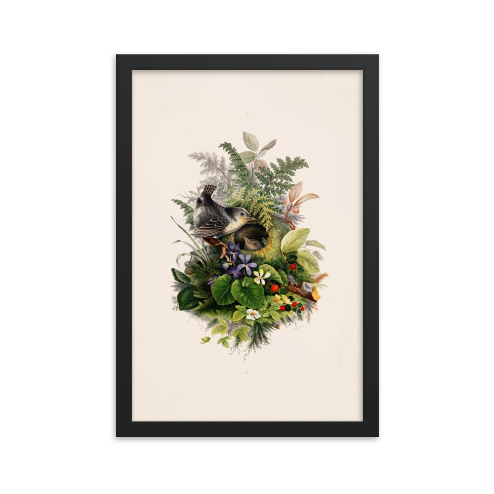 Zaunkönig und das Nest - Poster im Rahmen schwarz / 30x45 cm artlia