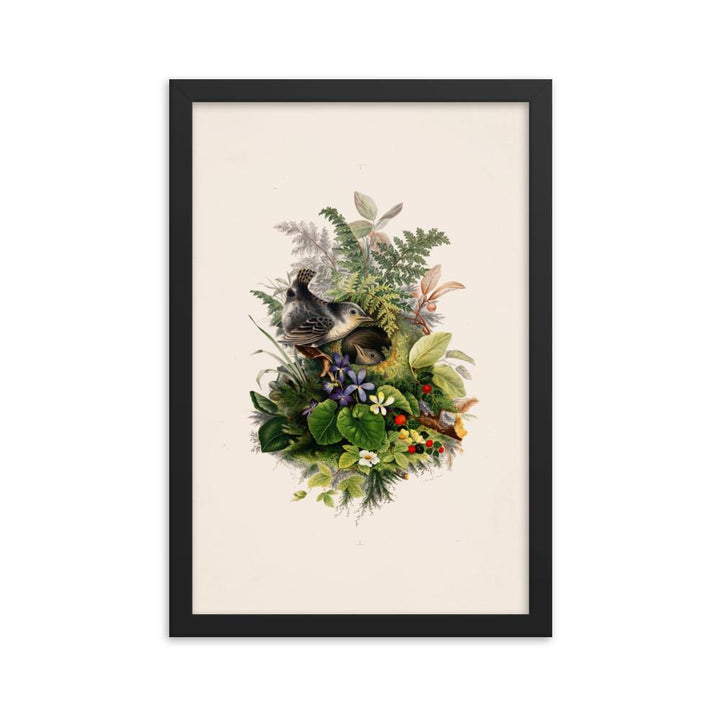 Zaunkönig und das Nest - Poster im Rahmen schwarz / 30x45 cm artlia