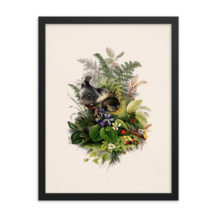Zaunkönig und das Nest - Poster im Rahmen schwarz / 30x41 cm artlia