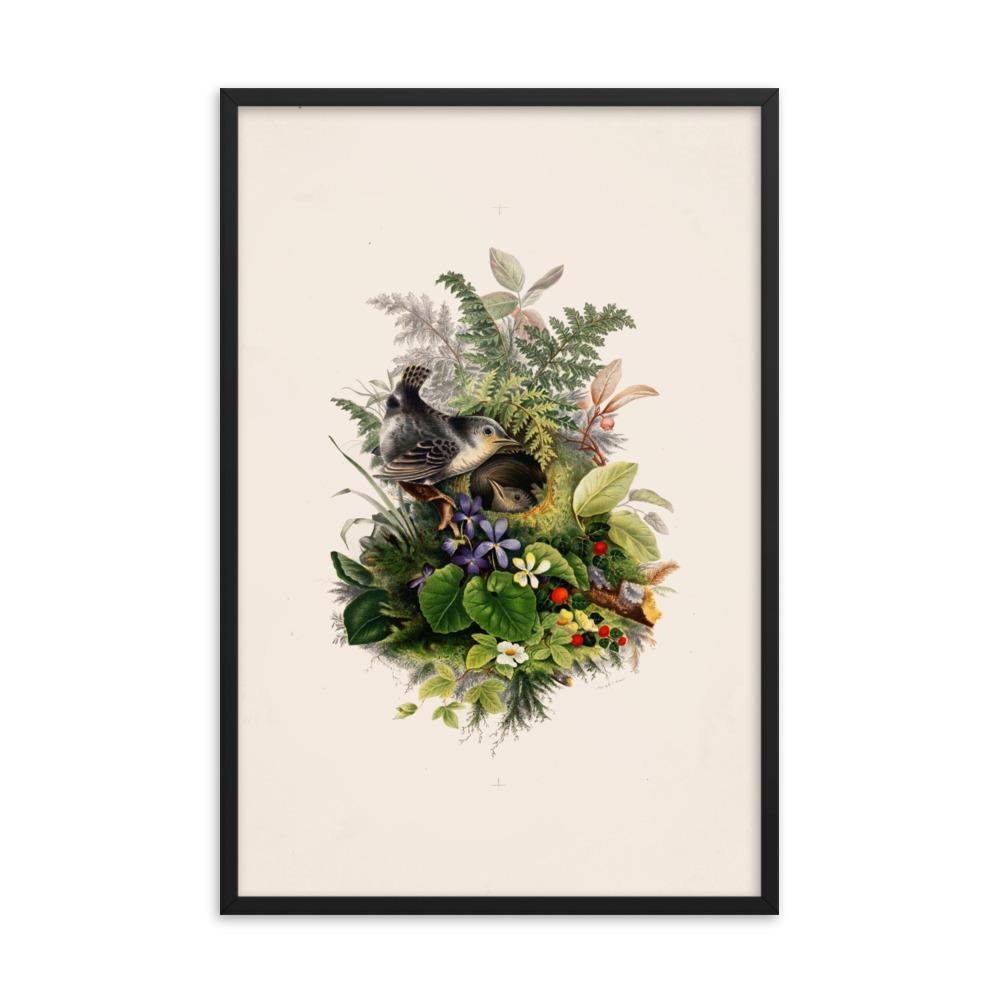 Zaunkönig und das Nest - Poster im Rahmen artlia
