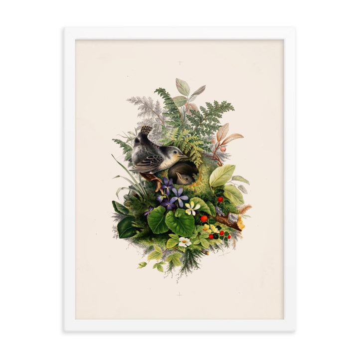 Zaunkönig und das Nest - Poster im Rahmen weiß / 30x41 cm artlia