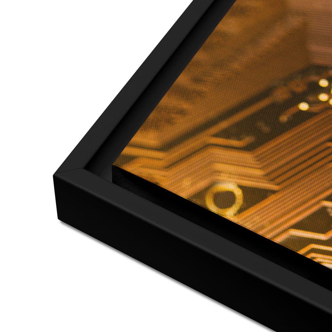 Canvas - Bitcoin Gold