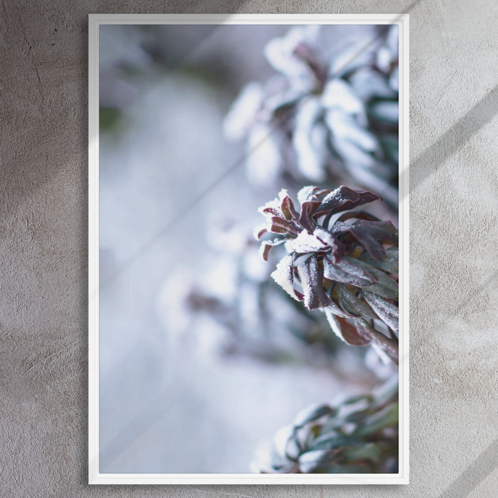 Leinwand - Frost on leaves, a moment in nature