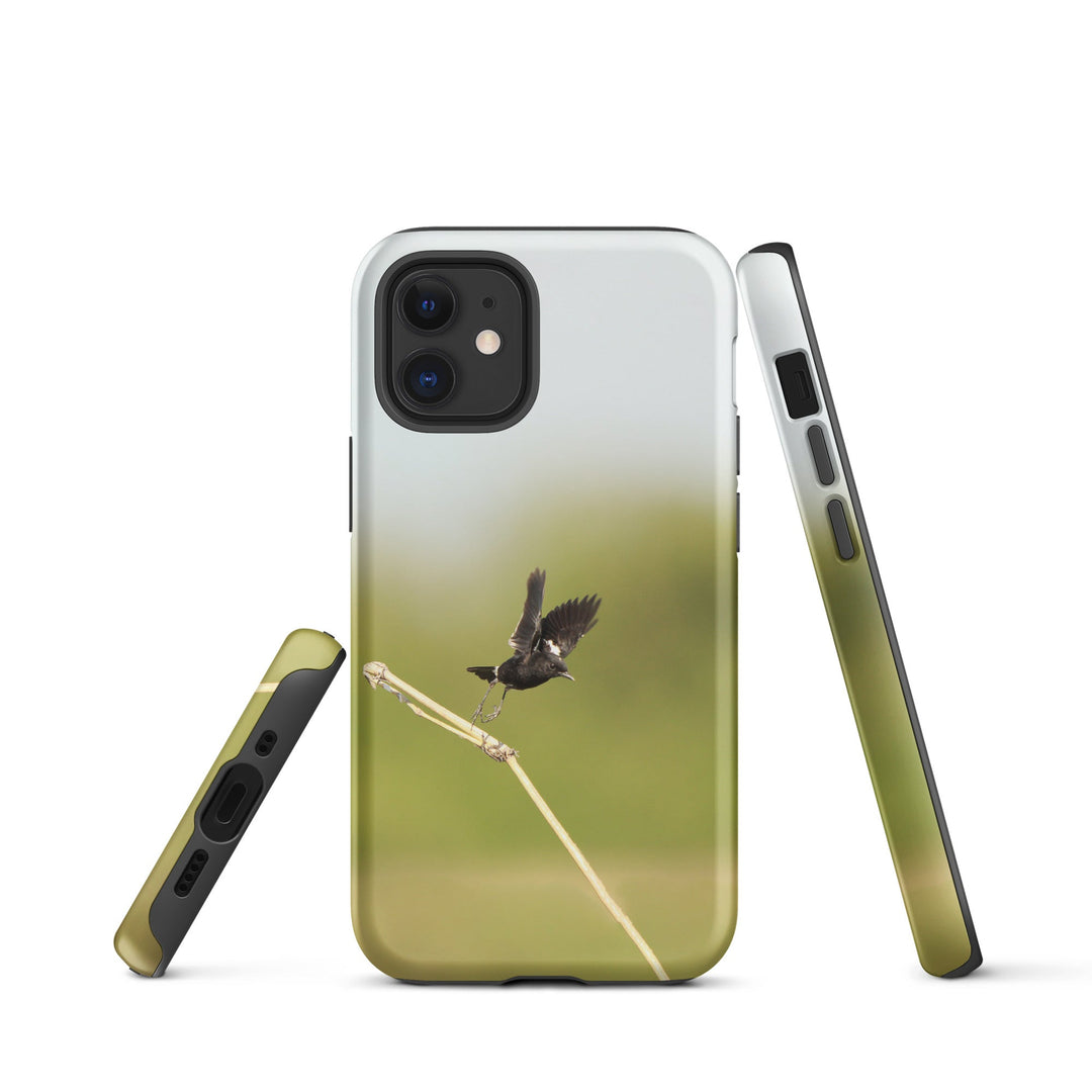 Hardcase iPhone® Handyhülle - Elsterschmätzer Pied Bushchat Young Han Song iPhone 12 mini artlia