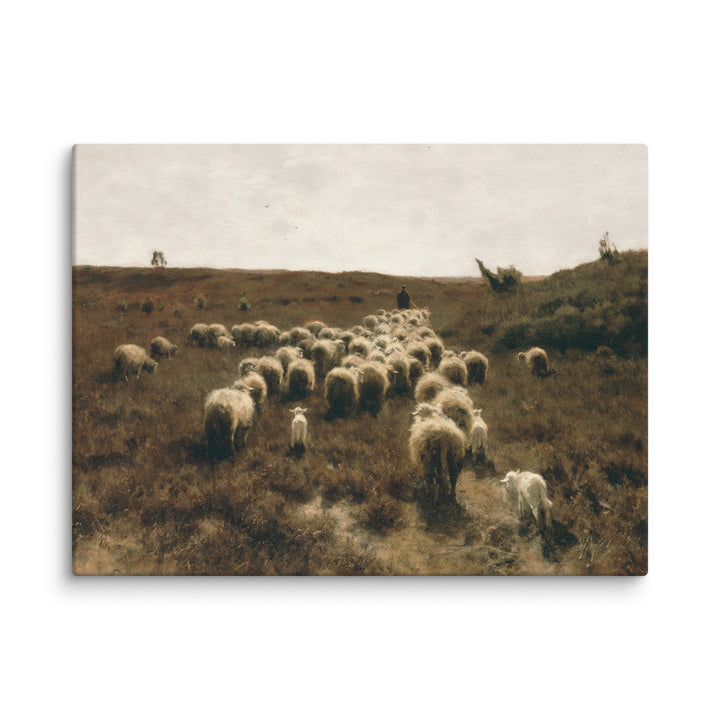 Leinwand - Anton Mauve, The Return of the Flock, Laren Anton Mauve ohne Rahmen / 31x41 cm (12″×16″) artlia