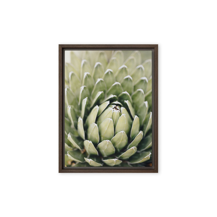 Leinwand - Cactus Flower II Kuratoren von artlia Braun / 31x41 cm (12″×16″) artlia