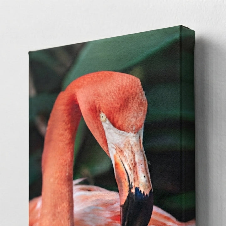 leinwand-flamingo-phoenicopterus-ruber-kuratoren-von-artlia-ohne-rahmen-51x76-cm-20-x30-artlia-online-art-galeria-17