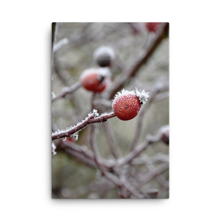 Leinwand - Winterbeeren II Kuratoren von artlia ohne Rahmen / 61x91 cm (24″×36″) artlia