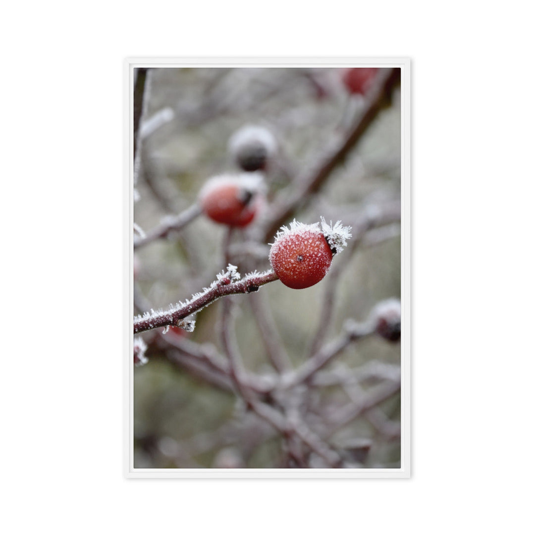 Leinwand - Winterbeeren II Kuratoren von artlia Weiß / 61x91 cm (24″×36″) artlia