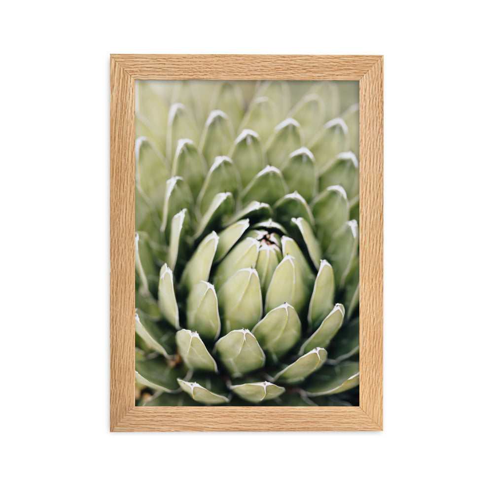 Poster - Cactus Flower II Kuratoren von artlia Oak / 21×30 cm artlia