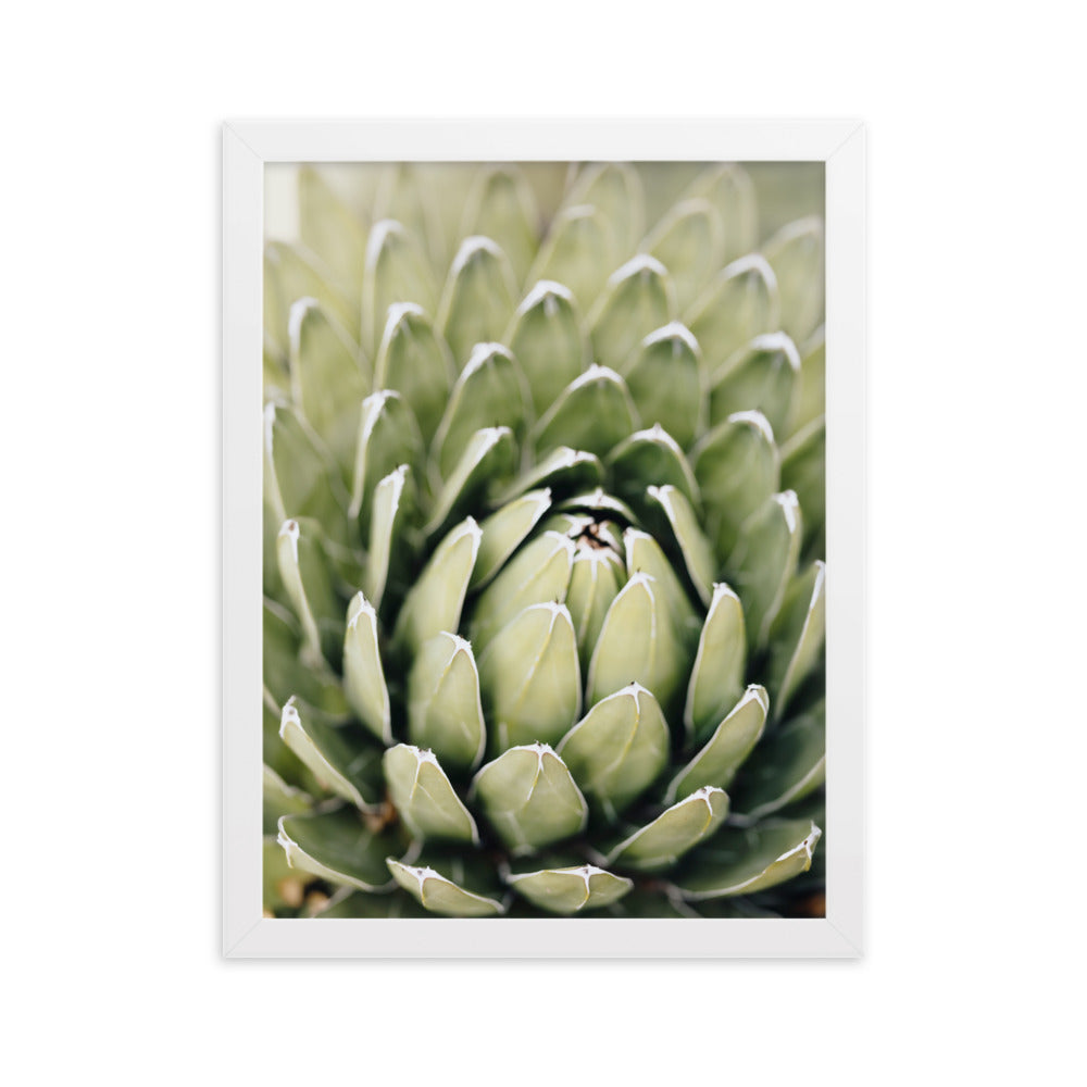 Poster - Cactus Flower II Kuratoren von artlia Weiß / 30×40 cm artlia