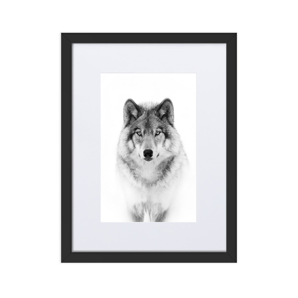 Poster mit Passepartout - Calm Wolf Kuratoren von artlia Schwarz / 30×40 cm artlia