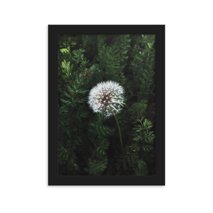 Poster mit Rahmen - Pusteblume Kuratoren von artlia Schwarz / 21×30 cm artlia